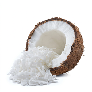 Noix de coco râpée vietnamienne de qualité supérieure, ingrédient de noix de coco séchée de haute qualité pour les boulangeries, confiseries et usines de snacks - Product Image 1