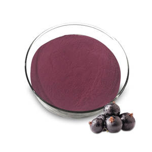 ブラックカラントエキス5:1ブラックカラント果実エキス - Product Image 1