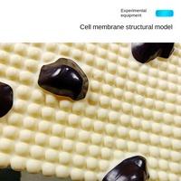 Modèle de structure de membrane cellulaire J33303, structure à trois couches, organisation des protéines, des lipides, des molécules, biologique