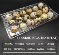Plateau d'oeufs de caille Le fabricant de 18 cartons d'oeufs de caille 18 cellules à vendre boîte d'emballage d'oeufs de caille en plastique