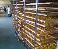 Machine industrielle de transformation des fruits secs (Système de fabrication de fruits secs, ligne de production de tranches de mangue, de citron)