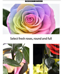 Regalo de San Valentín, Rosa Preservada, Pequeño Príncipe Rojo, Flor Eterna, Rosa Real con Cubierta de Cristal - Product Image 4