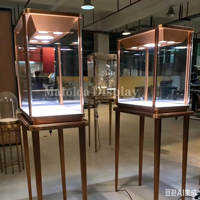 Vitrine de présentation de luxe sur mesure en acier inoxydable antique à pieds fins pour montres, musées et expositions
