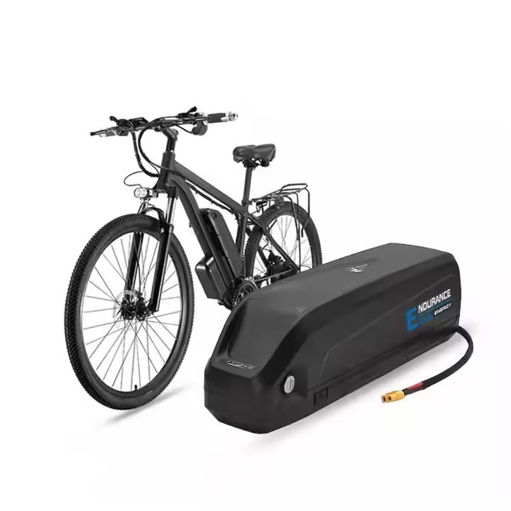 Hailong Ebike Lithium Battery Pack Custom