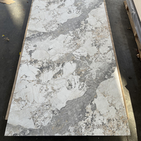 Nouvelle conception d'usine, panneau stratifié phénolique HPL à motif marbre pour table et mur
