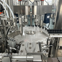 Nouvelle machine de remplissage automatique de bouteilles pour la ligne d'emballage liquide d'huiles de CBD de gouttes pour les yeux de 10ml