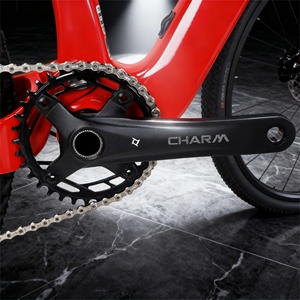 Bicicleta <span class=keywords><strong>de</strong></span> Montaña <span class=keywords><strong>de</strong></span> Carbono DFQ <span class=keywords><strong>Deore</strong></span> Mtb con Suspensión Trasera Completa para Adultos - Product Image 5