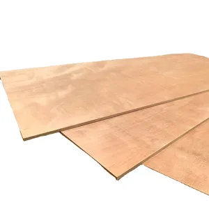 Biz Standard Plywood-耐久性のある15x1220x2440mmバーチ合板-DIYプロジェクト、家具グレードの木製パネル-Shandong Good Wood