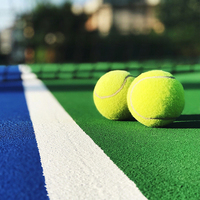 Balles de tennis et de padel OEM approuvées ITF, en caoutchouc pressurisé, pour jouets en PET