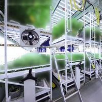 Système de culture hydroponique vertical de haute qualité pour plantes d'intérieur, avec plusieurs niveaux, sur roulettes, grande étagère de culture, système d'irrigation par flux et reflux, en ABS