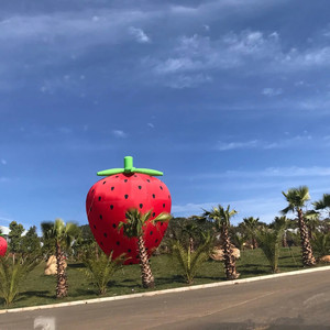 Modelo Inflable Personalizado de Frutas y Verduras, <span class=keywords><strong>Tomate</strong></span> Inflable <span class=keywords><strong>Gigante</strong></span> - Product Image 4