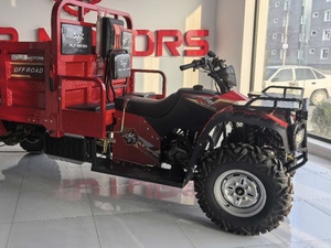 Véhicule Utilitaire Tout-Terrain Agricole 4x4 OEM/ODM, Dune Buggy, <span class=keywords><strong>Quad</strong></span>, Moto-Tricycle à Essence pour Fret avec Châssis Ouvert - Product Image 4