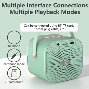 Altavoz Inalámbrico P12 con Micrófono Karaoke, Sistema de Micrófono de Mano para Fiestas en Casa y Exteriores, Sistema de Dúo - Product Image 4