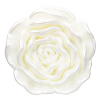 Aksesoris Kancing Resin Impor yang Serbaguna Dapat Digunakan untuk Atasan dan Celana Secara Bersamaan.
