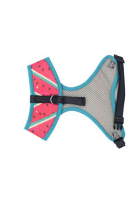 TC1205/1206 Tali Kekang Hewan Peliharaan Anjing Rompi Tali Kekang Poliester Dapat Disesuaikan Berjalan Memimpin untuk Anak Anjing Kucing <span class=keywords><strong>Harness</strong></span> Kustom - Product Image 4