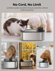 Bebedero Automático de Acero Inoxidable con Filtro, Dispensador de Agua Fresca para una Hidratación Saludable, Sistema para Perros y Gatos - Product Image 4