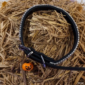 Collar Personalizado para Mascotas con Pedrería, Campana de Calabaza, Ajustable para Gatos y Perros, Diversión de Halloween, Talla Única, Naranja Sólido - Product Image 2