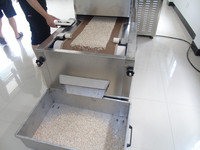 Automatische Industriële Zwarte Soldaat Vlieg Landbouwmachines Larven Sneldrogende Maaltijdwormen Uitdroging Magnetron Made Droger Machine