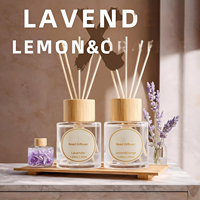 Diffuseur de parfum sur mesure OEM ODM Agrumes Côtiers 100ml Collier Argenté Parfum d'ambiance Vente en gros Longue Durée Élégant