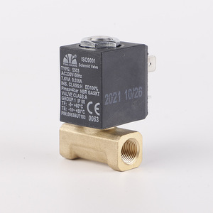 Yuyao Yongchuang Solenoid Valve 5503-01 AC220V 50Hz Miniature Gas Heater Valve Monte Heater Valve - Product Image 2