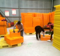Boîtes de transport pour volailles en plastique de haute qualité, neuves, durables, écologiques, longue durée de vie