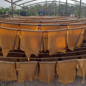 Caucho de Grado RSS de Alta Calidad Marca Phuc Thinh de Vietnam - Rendimiento Consistente para la Fabricación a Gran Escala - Product Image 1