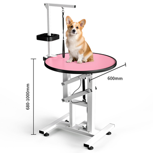 <span class=keywords><strong>Table</strong></span> de toilettage pour animaux de compagnie en acier inoxydable Lehuo avec fonction de levage électrique, élimination des poils, source d'alimentation rechargeable - Product Image 6