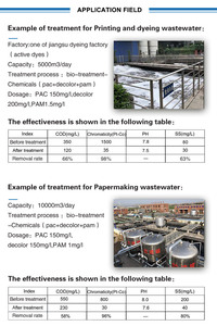 Flokulan catione cationico polimero cationico flocculante poliacrilammide Cpam - Product Image 5