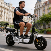 Bicicleta Eléctrica Urbana de Alta Calidad para Adultos, Motor de 350W con 3 Velocidades en la Rueda Trasera, Batería de Plomo-Ácido, Ligera, Alcance de 60 km