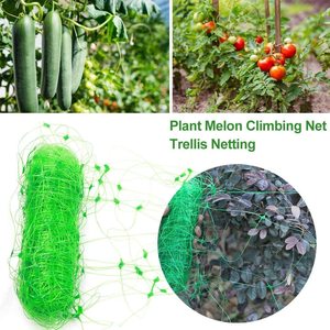 Filet de treillis 5x5 pour soutien des plantes grimpantes en agriculture - Product Image 2