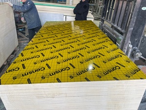 Pannelli in <span class=keywords><strong>compensato</strong></span> per casseforme con anima in legno e rivestimento in PP, riutilizzabili 25 volte - Product Image 6