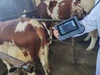 Système d'échographie médicale portable Lethealth pour animaux de compagnie, appareil d'échographie ultrasonore pour diagnostic, machine d'échographie médicale pour mammographie