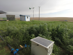 <span class=keywords><strong>Pompe</strong></span> <span class=keywords><strong>solaire</strong></span> industrielle AC/DC 10 \ "125m ³/h Débit 60m Tête 30kW pour Plantations 2kW Puissance Vis Centrifuge Submergé Dosage - Product Image 4