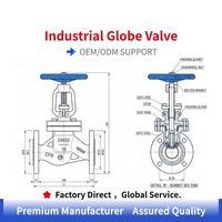 Válvula de Globo Industrial de Acero Inoxidable CF8 DN32 PN16 con Conexión Bridada para Tratamiento de Agua Municipal, Industrial y Marina