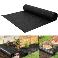 Barrière contre les mauvaises herbes Paysage Premium Fabric-Heavy Duty tissé Couverture de sol Tissu tapis de mauvaises herbes rouleau de mauvaises herbes