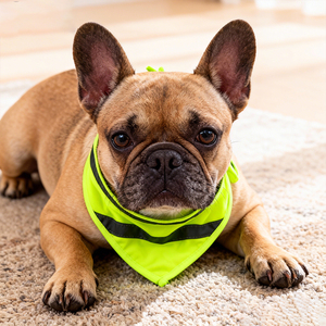 وشاح عاكس عالي الوضوح للكلاب، مطبوع بشكل مثلث، للسلامة أثناء المشي ليلاً وللتخييم - Product Image 3