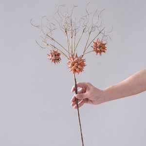 Set Premium MW89107 <span class=keywords><strong>de</strong></span> Protea Artificial Moderna en Aerosol y Vaina <span class=keywords><strong>de</strong></span> <span class=keywords><strong>Semillas</strong></span> para Decoración Wabi-Sabi en Hoteles, Oficinas e Interiores - Product Image 4