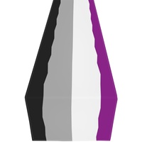 Chemin de table personnalisé à motif arc-en-ciel gay asexual, idéal pour la décoration quotidienne de la table à manger, les réunions festives et l'aménagement intérieur de la maison