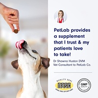Vente en gros de lait pour animaux de compagnie pour chats, chiens, poils articulaires, probiotiques, complément alimentaire multi-vitamines et doux à mâcher pour animaux de compagnie