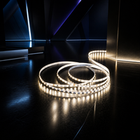 Bande lumineuse LED 24V 5MM intérieure en cuivre IP20 multicolore, température de couleur Ra80, durée de vie de 25 000 heures