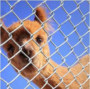 Özelleştirilmiş büyük açık galvanizli zincir bağlantı hayvan kafesi Metal köpek kulübesi/oyun parkı ile 3D modelleme için çiftlik çiti - Product Image 1