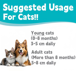 Gel nutritionnel digestif OEM Clean Scat pour chiens, pâte <span class=keywords><strong>multivitaminée</strong></span>, compléments alimentaires pour chiens, pâte nutritive pour animaux de compagnie - Product Image 3