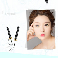 Crayon Eyeliner Liquide 2026 Couleur Personnalisée Longue Tenue 24H Grand Volume 10 ml Imperméable Anti-bavure Séchage Rapide