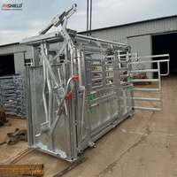 Chute d'encerclement robuste pour bétail à vendre, équipement de retenue du bétail à portillon automatique pour usage agricole