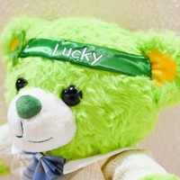 Créez votre propre peluche personnalisée, ours porte-bonheur, peluche personnalisable en coton, animaux en peluche mignons