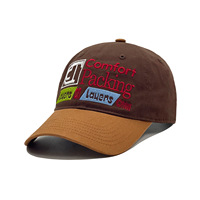 Gorra de Béisbol Personalizada al por Mayor, 100% Algodón, Estilo Vintage, Desgastada, Retro Y2K, Logotipo Bordado en 3D, Color Marrón, Ajustable, Unisex