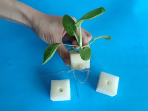 <span class=keywords><strong>Esponja</strong></span> hidropónica para <span class=keywords><strong>cultivo</strong></span> <span class=keywords><strong>de</strong></span> flores y verduras, buena tasa <span class=keywords><strong>de</strong></span> germinación - Product Image 2