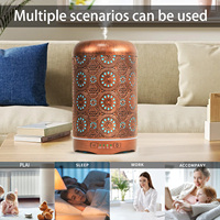 Offre Spéciale 100ml Mini humidificateur à ultrasons en bronze doré avec lumière LED Diffuseur d'huile aromatique coloré pour la maison Hôtel Garantie 1 an