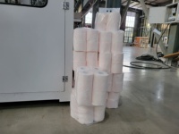 Machine d'emballage automatique à servomoteur 4-48 rouleaux avec boîte de vitesses pour sacs plastiques préformés, maxi-rouleaux, rouleaux de papier toilette et essuie-tout de cuisine