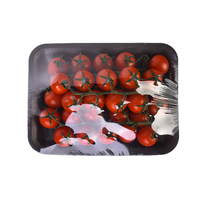 Fabrieks prijs plastic PET vlees schuimtrays zwarte fruit en groente verpakkingen voor supermarkten